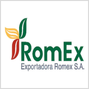 EXPORTADORA ROMEX S.A.
